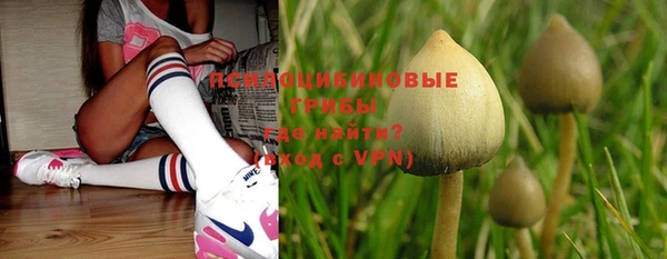 стафф Липки