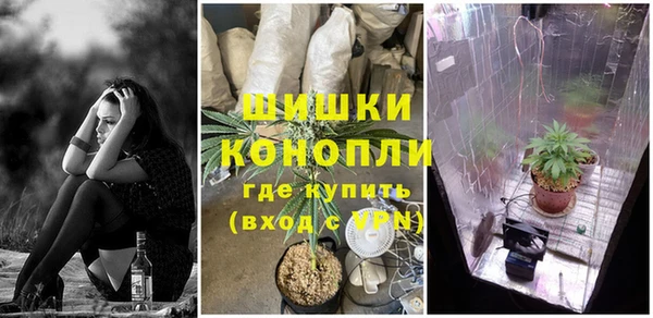стафф Липки