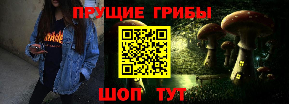 Псилоцибиновые грибы GOLDEN TEACHER Брянск